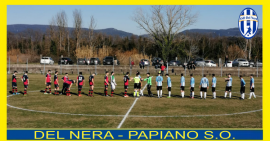 b_270_270_16777215_0_0_images_stories_stagione_19_20_post_delnera_papiano.png