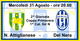 b_270_270_16777215_0_0_images_stories_stagione_22_23_precoppa_nattiglianese_delnera.png