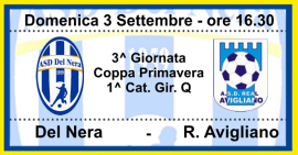 b_270_270_16777215_0_0_images_stories_stagione_23_24_precoppa_delnera_realavigliano.png