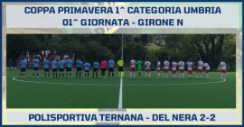b_270_270_16777215_0_0_images_stories_stagione_25_26_post_polisportivaternana_delnera.png