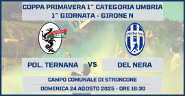b_270_270_16777215_0_0_images_stories_stagione_25_26_precoppa_polternana_delnera_.png