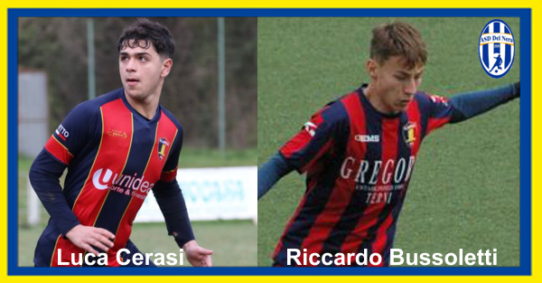 mercato_2024_2025.png